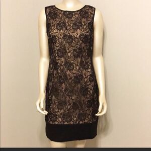 Cache lace dress 